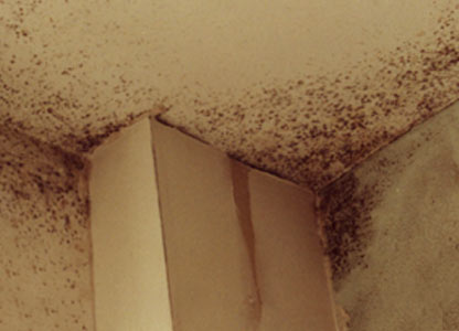 Control de humedades por capilaridad y condensación de edificios Gipuzkoa